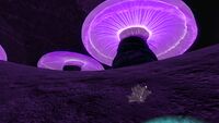 Lithium found in the Jelly Shroom Caves