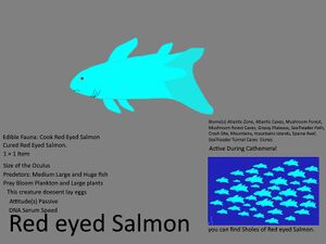 Red eyed Salmon Concept.jpg