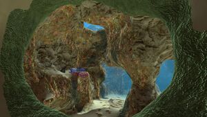 Safe Shallows Caves (3).jpg