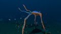 Thumbnail for version as of 21:18, 6 May 2016