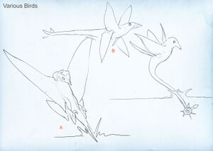 Various birds.jpg