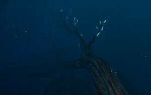 20160731143706 1.jpg