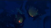 The bottom of the biome.