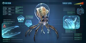 Crabsquid-0.jpg
