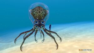 Crabsquid (1).jpg
