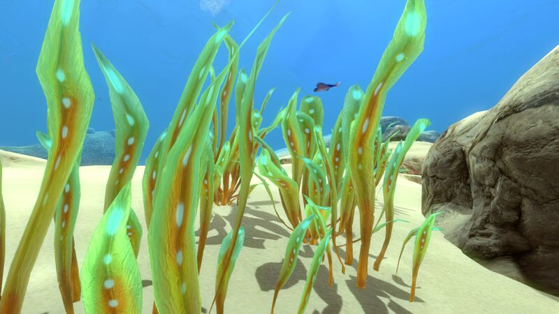 File:Green Reeds (5).jpg