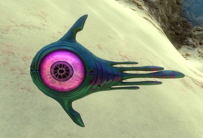 File:Oculus 3.jpg