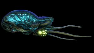 Reefback Fauna (Black).jpg