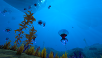 Underwater overview during day