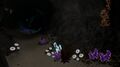 Deep Shrooms and Gabe's Feathers, along with some other decorative plants