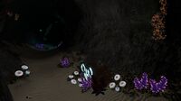 Deep Shrooms and Gabe's Feathers, along with some other decorative plants.