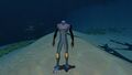 Player model in default dive suit