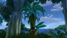 Bulbo Tree on Island.jpg