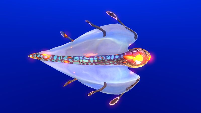 File:Infected Bladderfish.jpg