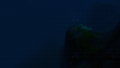 The dropoff between the World Edge and the Lilypad Islands
