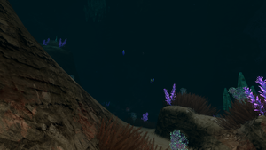 AquraiumGallery1.png