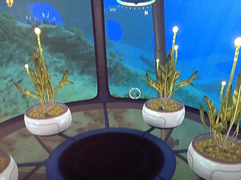 File:Cactorobseratory.jpeg