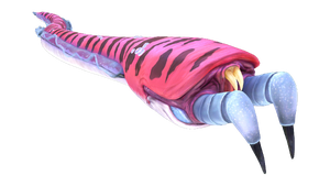 Crabsnake Fauna.png