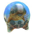 Cuddlefish Egg