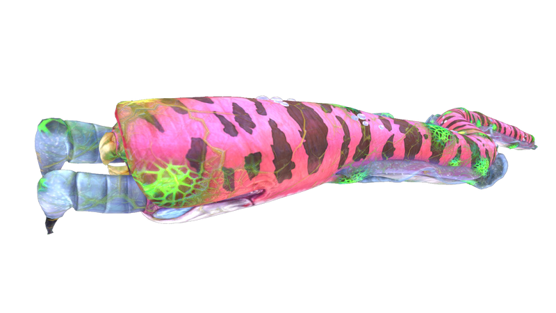 File:Infected Crabsnake.png