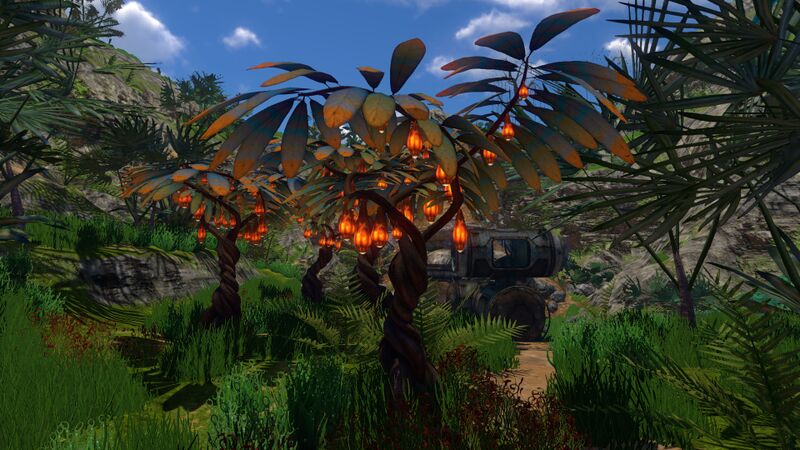 File:Lanterntrees.jpg