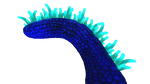 Mohawk Plant Flora.png