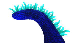 Mohawk Plant Flora.png