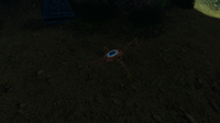 A Cave Crawler