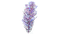 Purple Branches Flora.png