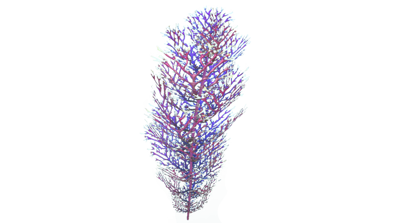 File:Purple Branches Flora.png