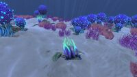 A Writhing Weed in the Bulb Zone