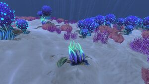 Purple Tentacles (5).jpg