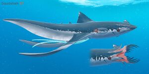 SquidShark 07.jpg