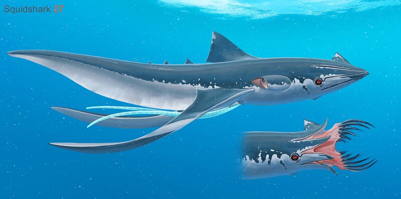File:SquidShark 07.jpg