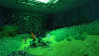 A corner of the Aquarium with a single Sea Crown