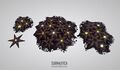 Model of unknown starfish-like organisms from Sketchfab