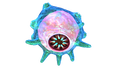 Thumbnail for version as of 13:35, 29 September 2016