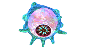 Floater Fauna.png