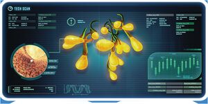 Fox3d-entertainment-creepvine-seed.jpg