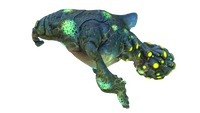 Infected Gasopod