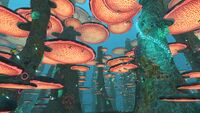 MushroomForestOverview.jpg