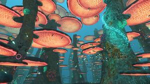 MushroomForestOverview.jpg