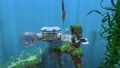 SN Habitat - Observatory in the Kelp Forest