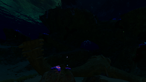 Safe Shallows Overview Night.png