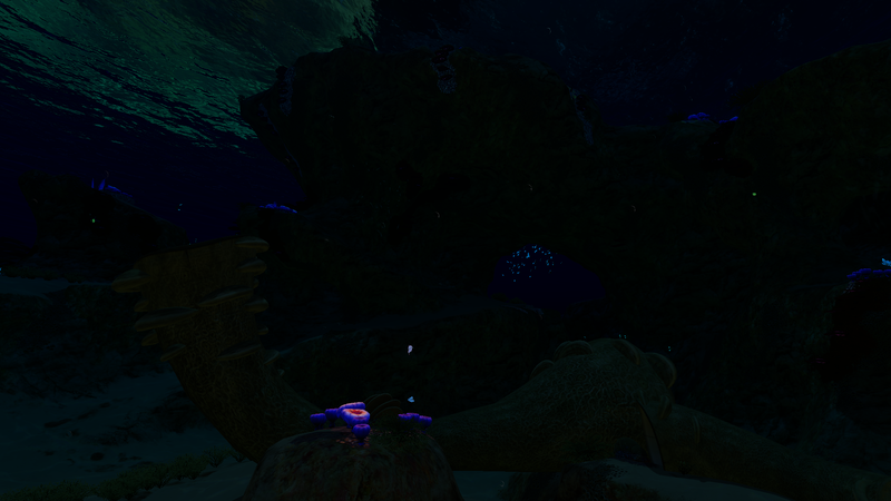 File:Safe Shallows Overview Night.png