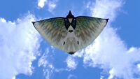 Underside