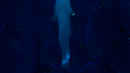 Thumbnail for version as of 08:25, 7 August 2021