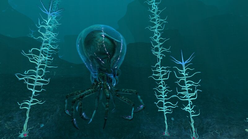 File:Crabsquid Backside.jpg