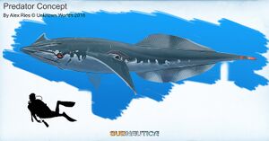 EarlySquidshark (BZ).jpg