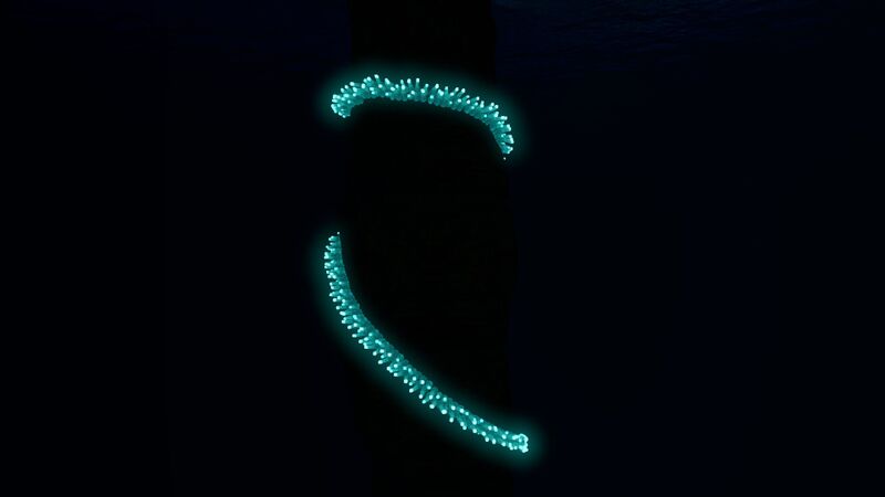 File:GrueClusterNight.jpg